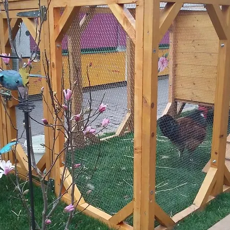 Commanderie Апартаменты *