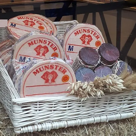 Commanderie Апартаменты Кольмар