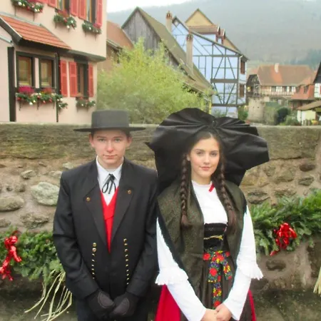 Апартаменты Commanderie Кольмар